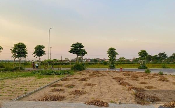 Đất nền tỉnh bất ngờ tăng nhiệt
